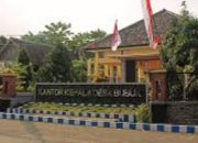 Penebangan Kayu Ilegal di Dusun Warengan: Kepala Desa Diduga Terlibat, Dinas PU CKPP Banyuwangi Angkat Bicara