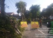 DPU CKPP Banyuwangi Melakukan Pemangkasan Pohon di Sekitaran Perkotaan.