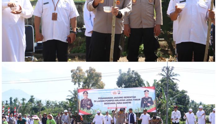 Polresta Banyuwangi dan Ponpes Darul Khoirot Gelar Penanaman Jagung Serentak di Lahan Kerjasama