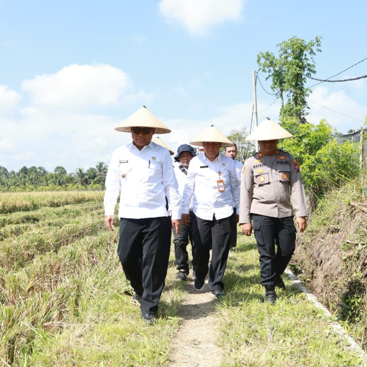 Dukung Swasembada Pangan Presiden, Pemkab dan Pupuk Kaltim Panen Demplot Padi di Banyuwangi.