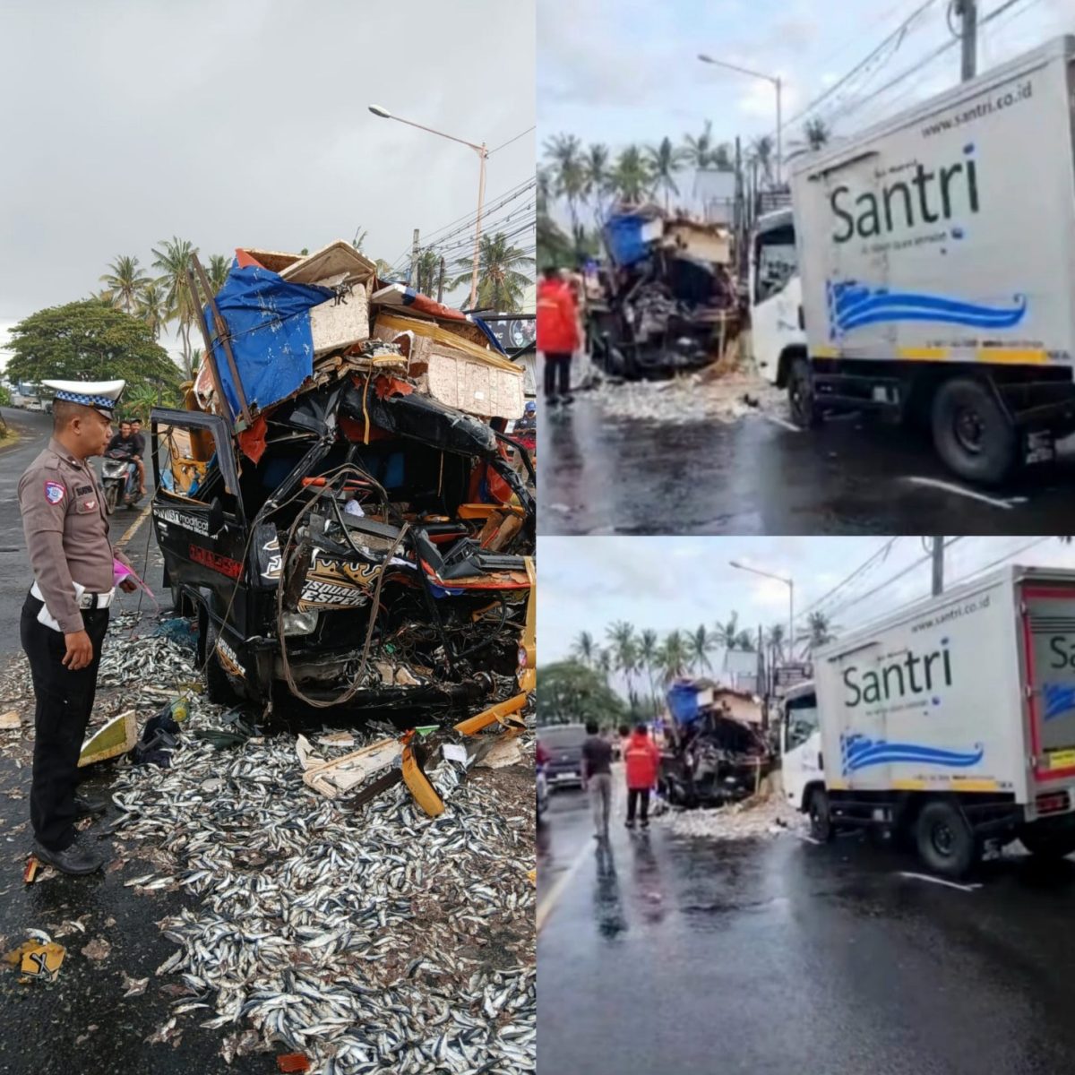 Tabrakan Maut di Jalur Ketapang, Satu Tewas Setelah Truk Box Santri Salip di Tikungan