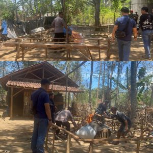 Jajaran Polsek Kalipuro Gerak Cepat gerebek Judi Sabung Ayam.