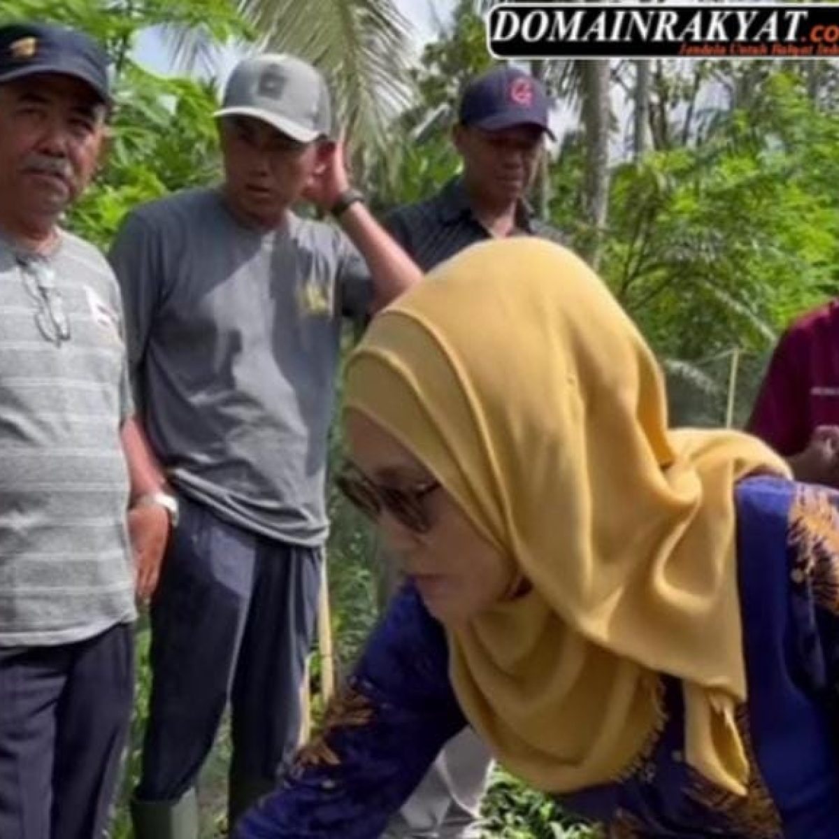 RSUD Blambangan Mengukir Sejarah: “Janji Cinta” Ubah Kelor Jadi Emas Hijau Banyuwangi