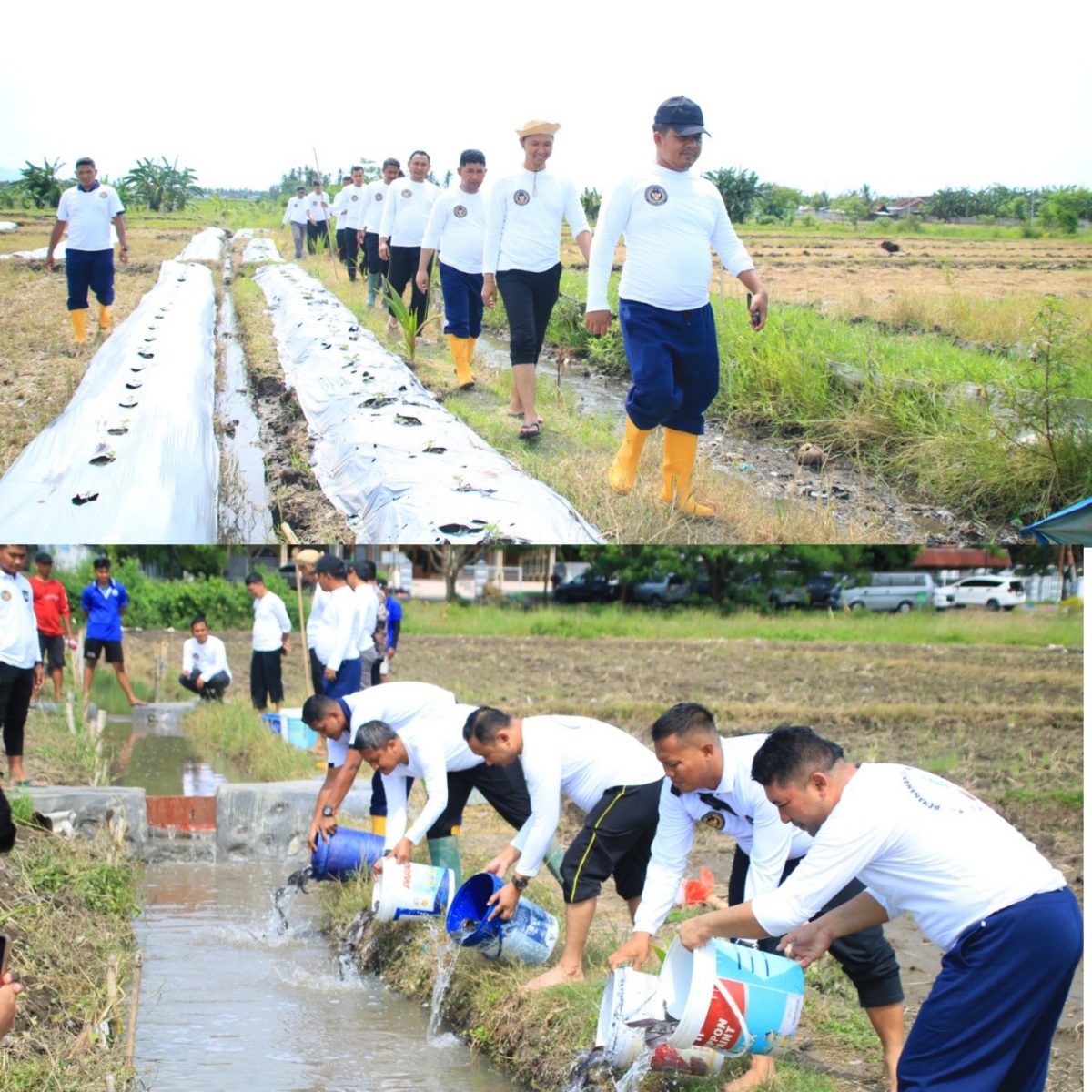 Program Ketahanan Pangan Berlanjut, Komoditas di Lahan SAE Pakis Lapas Banyuwangi Semakin Beragam.
