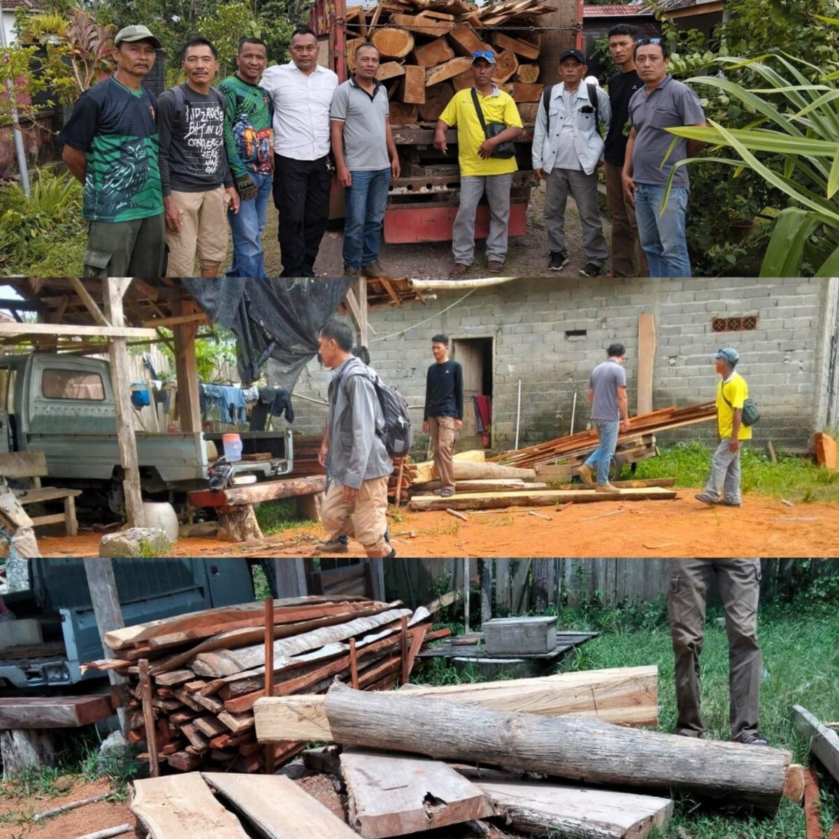 Puluhan Kayu Jati Ilegal Ditemukan di Belakang Rumah Warga Pesanggaran.