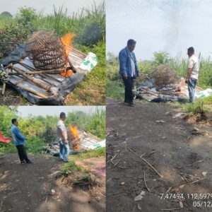 Polisi Bakar Arena Sambung Ayam di Jatikalang Kecamatan Prambon