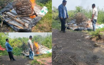 Polisi Bakar Arena Sambung Ayam di Jatikalang Kecamatan Prambon