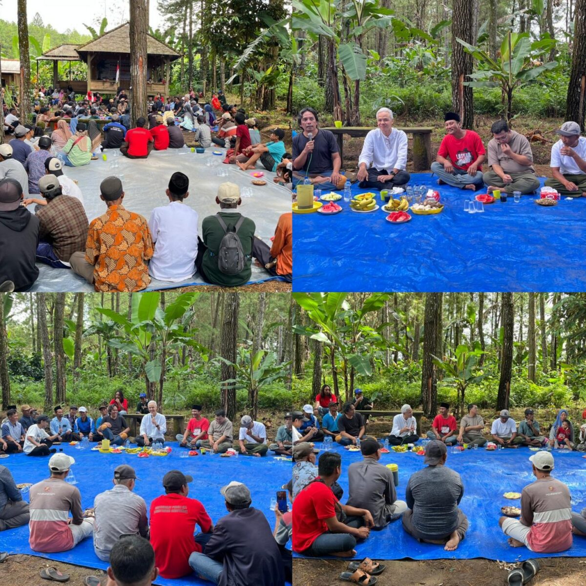 KTH Green Bayu Mandiri Mulai Kembangkan Sentra Pisang Cavendish, Ganjar Pranowo Hadiri Penanaman Perdana.