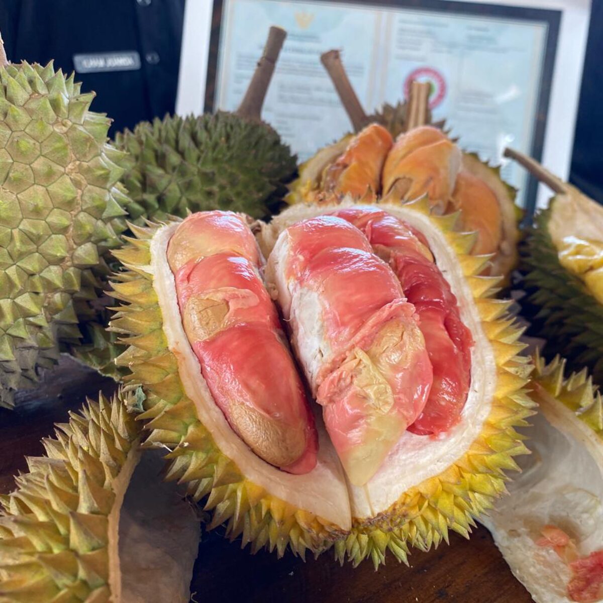 Durian Merah Banyuwangi Ditetapkan Sebagai Indikasi Geografis Pertama di Indonesia