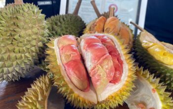 Durian Merah Banyuwangi Ditetapkan Sebagai Indikasi Geografis Pertama di Indonesia