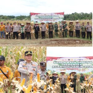 Polresta Banyuwangi Gelar Panen Raya Jagung Serentak Kuartal I Tahun 2025.