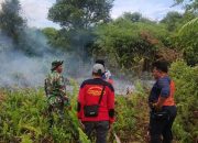 Babinsa Kodim 1015/Sampit Bantu Padamkan Kebakaran Hutan Dan Lahan.
