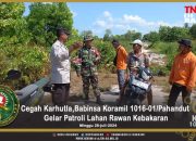 Cegah Karhutla,Babinsa Koramil 1016-01/Pahandut Gelar Patroli Lahan Rawan Kebakaran