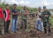 Kodim 1015/Sampit Terima Kunjungan Pasahli Kodam XII/Tpr Tinjau Program Oplah (Optimalisasi Lahan )Pertanian