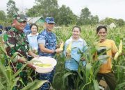 Panen Raya Ketahanan Pangan, Lanud Iskandar Siap Dukung Pemerintah Penuhi ketersediaan Bahan Pangan