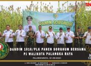 Dandim 1016/Plk Panen Sorghum Bersama Pj Walikota Palangka Raya