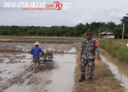 Optimalisasi Hasil Pertanian, Babinsa Dampingi Petani Bajak Sawah