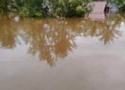 Kalasa BPBD Kalimantan Tengah dinilai lamban menangani banjir di Murung Raya