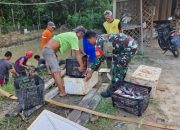 Dampingi Warga Binaan, Babinsa Koramil 1015-03/MB Ketapang Bantu Warga Panen Ikan.