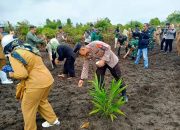 Dukung Ketahanan Pangan Warga, Kapolsek Rakumpit Ikuti Penanaman Benih Padi Gogo