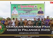 Dukung Ketahanan Pangan, Dandim 1016/Plk dan Pj Wali Kota Palangka Raya Tanam 20 Hektar Padi Gogo di Rakumpit