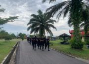 Tingkatkan Imunitas, Batalyon B Pelopor Laksanakan Olahraga Pagi