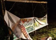 Maraknya Perusakan APK Saiful-Firdaus, Paslon Nomor Urut 03 Di Beberapa Titik Jalan Di Daerah katingan