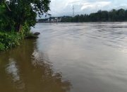 Setelah Hujan Hampir Satu Malam, Debit Das Sungai Seruyan Naik.