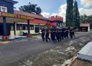 Personel Kompi 3 Batalyon B Pelopor Satbrimob Polda Kalteng Laksanakan Pembinaan Fisik Rutin Tingkatkan Kesiapan Operasional