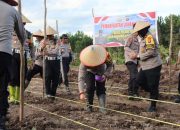 Dukung Program Ketahanan Pangan, Polres Pulang Pisau Manfaatkan Lahan Kosong Untuk Tanam Jagung dan Singkong 