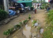 Kesal Jalan Rusak Tak Kunjung Diperbaiki, Warga Desa Talingke Tanam Bunga di Tengah Jalan Sebagai Bentuk Protes