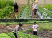 Dorong Pemanfaatan Lahan Pekarangan Warga, Upaya Bhabinkamtibmas Polsek Kahayan Kuala Dukung Ketahanan Pangan 