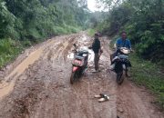 Masyarakat Berharap Pemdes Puruk Batu Bisa Menegur Kontraktor Pengguna Jalan Untuk Proyek