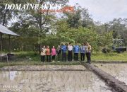 Dukung Ketahanan Pangan, Polsek Bukit Batu Dampingi DPKP Lakukan Penanaman Benih Padi R32 