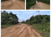 Jalan Jalur Lintas Antar kecamatan di Seruyan Rusak Parah,Warga Mengeluh.