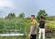 Dukung Ketahanan Pangan Warga, Polsek Bukit Batu Gelar Patroli Sambang 