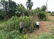 Mendukung Ketahanan Pangan, Personil Polsek Marikit Cek Lokasi Pemanfaatan Pekarangan Warga