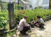Sukseskan Ketahanan Pangan, Bhabinkamtibmas Polsek Kahayan Kuala Dampingi Warga Rawat Tanaman Lombok