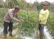 Di Kelurahan Marang, Polsek Bukit Batu Sosialisasikan Asta Cita ke Petani