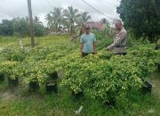 Di Kalampangan, Polsek Sabangau Sambangi Petani Cabai dan Sampaikan Program Ketahanan Pangan  