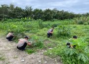 Brimob Kalteng Wujudkan Ketahanan Pangan Nasional dengan Merawat Lahan Produktif di Pangkalan Bun
