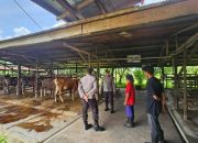 Kanitbinmas Polsek Bukit Batu Sambangi Peternakan Sapi Warga  