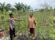 Datangi Petani Kacang Panjang, Polsek Rakumpit sampaikan Program Ketahanan Pangan