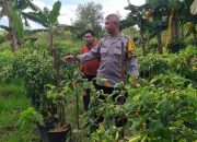 Datangi Petani Lombok, Polsek Sabangau Ajak Dukung Program Ketahanan Pangan  