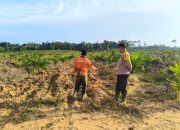 Polsek Marikit Lakukan Pengecekan Lokasi Pemanfaatan Lahan PT. Anugrah Hipbone Sejahtera (AHS) untuk mendukung Ketahanan pangan Nasional
