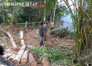 Cegah Pohon Tumbang di Musim Hujan, Babinsa Koramil 1019-04/Katingan Tengah dan Warga Samba Kahayan Bergerak Gotong Royong