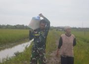 Istirhat Kerja, Personil Satgas TMMD Bantu warga Bawakan Hasil Panen dari Sawah