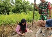 Puasa Tidak Menyurutkan Semangat Praka Yanto Dalam Mendampingi Para Petani 