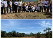 PT. Kridatama Lancar Minamas Group Dukung Swasembada Pangan dengan Penanaman Jagung Perdana di Seruyan Tengah