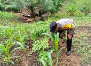 Mendukung Ketahanan Pangan, Personil Polsek sanaman mantikei Cek Lokasi Pemanfaatan Pekarangan Warga